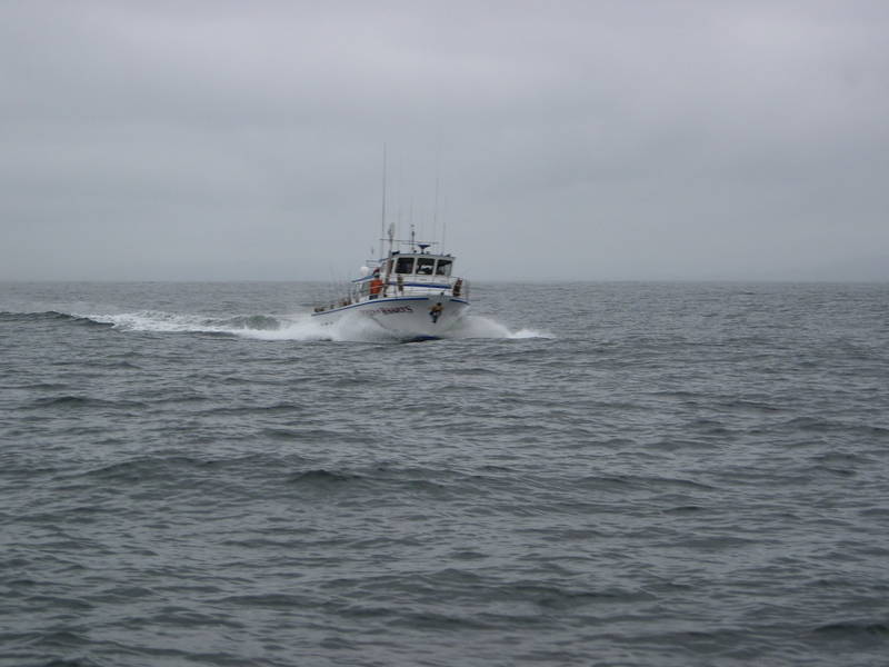 DSCN54671.JPG