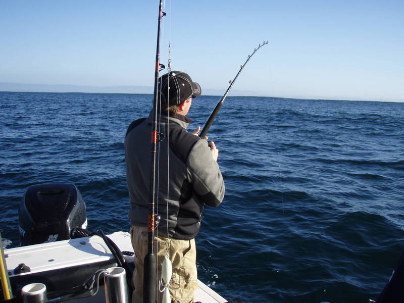 [Image: fishing_651.jpg]